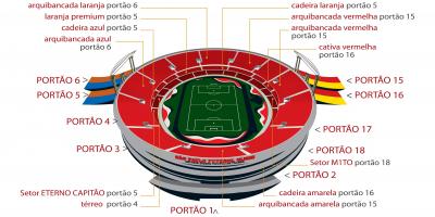 Картицу стадиона Сао Паоло Морумби